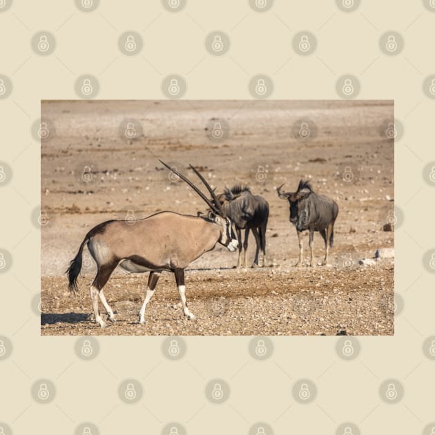 Namibia. Etosha National Park. Oryx and Wildebeest. by vadim19