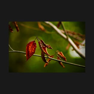 Dry Red Leaves T-Shirt