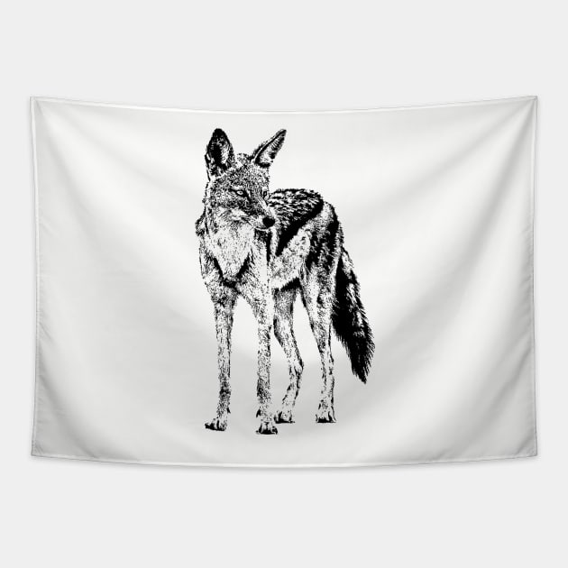 Black-backed Jackal for African Wildlife Fans Tapestry by scotch