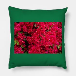 Bougainvillea Pillow