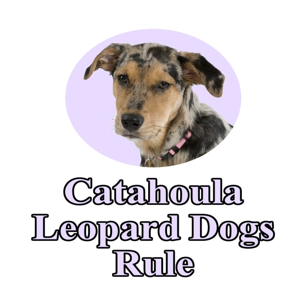 Catahoula Leopard Dogs Rule! by Naves