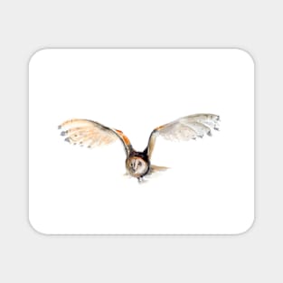 flying owl watercolor art Magnet