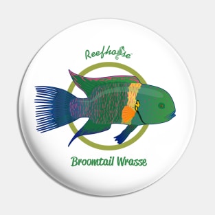 Broomtail Wrasse Pin