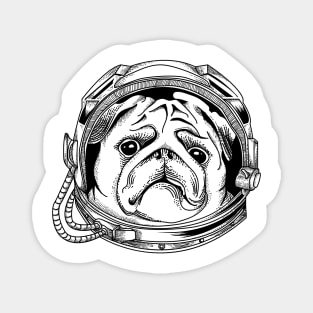 Astropup Magnet