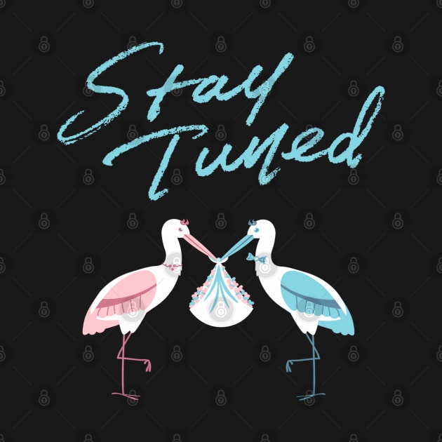 Mother's To Be, New Moms, Baby Announcement Cute, Storks, Stay Tuned  Design by BirdsnStuff