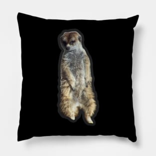 Meerkat Pillow