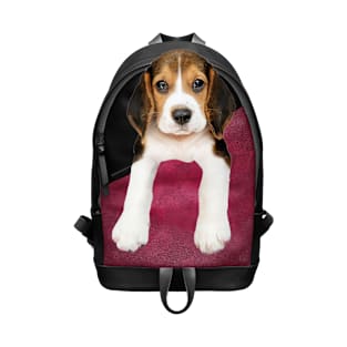 Backpack Beagle Puppy T-Shirt