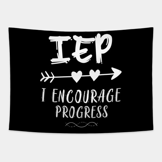 IEP I Encourage Progress Special Education Teacher Tapestry by jordanfaulkner02