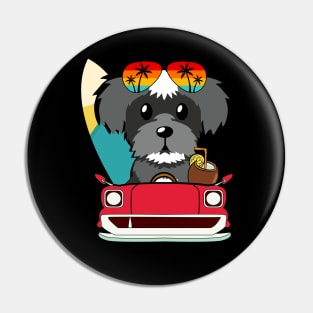 Funny schnauzer driving a car Pin