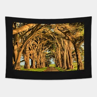 Cypress Lined Road Tapestry