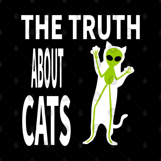 THE TRUTH ABOUT CATS by MoreThanThat