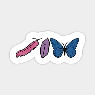 Butterfly Growth Bi pride #2 Magnet