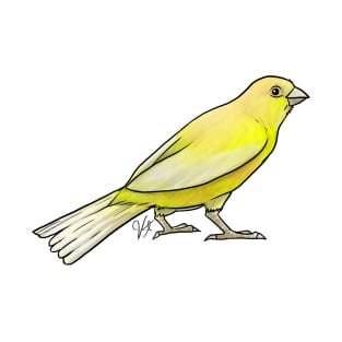 Bird - Canary - Lutino T-Shirt