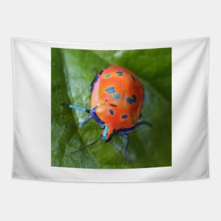 Hibiscus Harlequin Beetle Tapestry