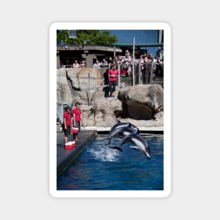 Canada. Vancouver, BC. Aquarium. Dolphin show. Magnet