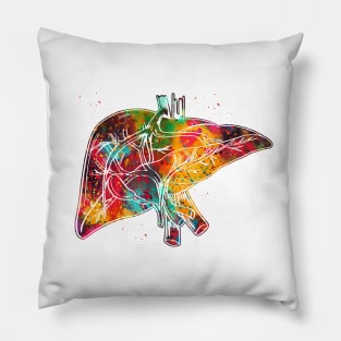 Liver Pillow