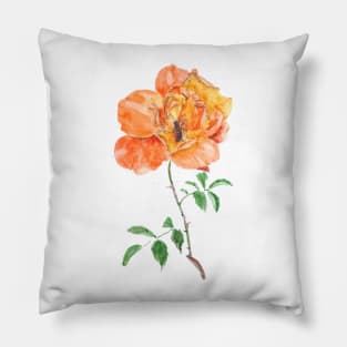 orange rose and a busy bee Pillow