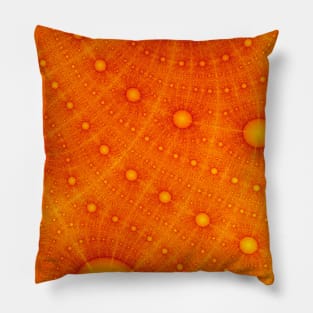 Amber Waves 22 Pillow