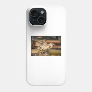 Portrait of Larus californicus Phone Case