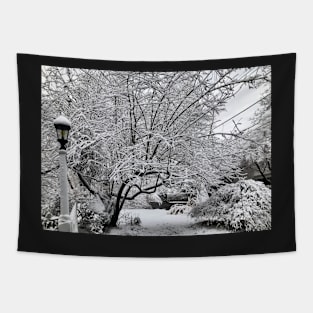 Winter In New York Tapestry