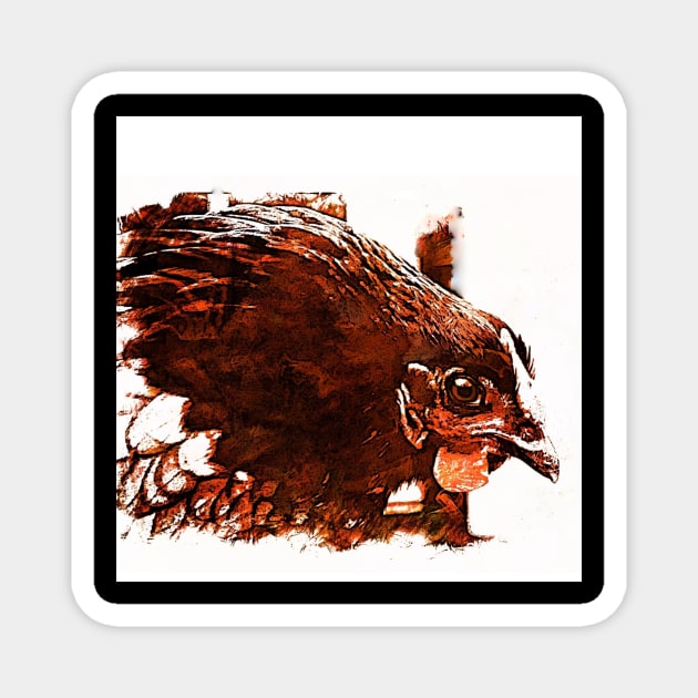 ANGRY CHICKEN Magnet by JOHN COVERT ILLUSTRATIONS