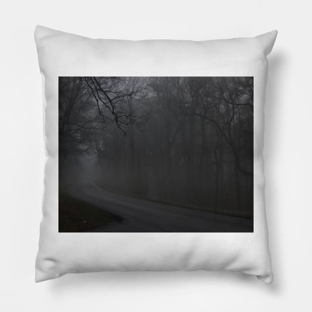 Rainy Parkway Days Pillow by Isla Creek Casuals