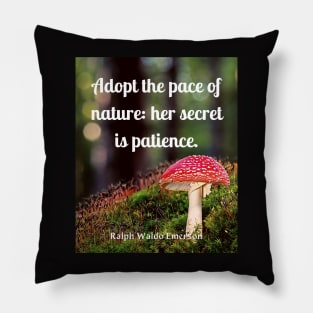 Ralph Waldo Emerson quote: Adopt the pace of nature: her secret is patience. Pillow