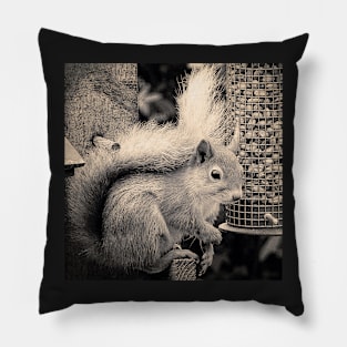 Squirrel in the Garden Pillow