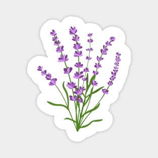 Lavender, Flower Magnet