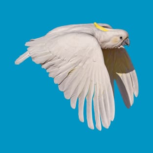 Sulphur Crested Cockatoo T-Shirt