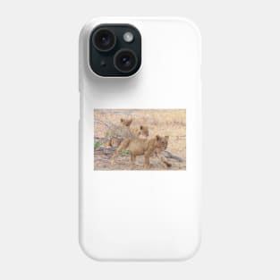 Three Wild African Lion Cubs Phone Case