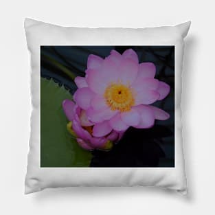 Flower Pillow