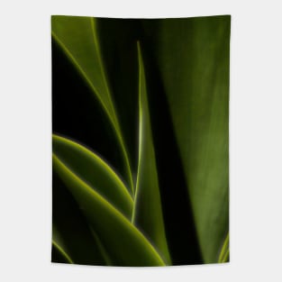 Agave Tapestry