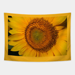 Sunflower Tapestry