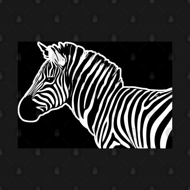 Zebra by williamcuccio