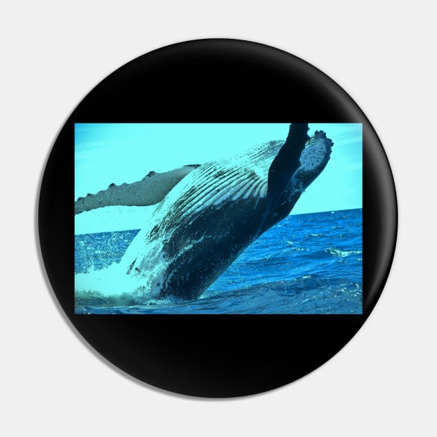 Humpback whale Pin by Coreoceanart