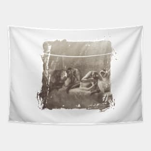 Spider Monkeys Tapestry