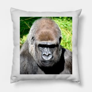 SILVERBACK Pillow