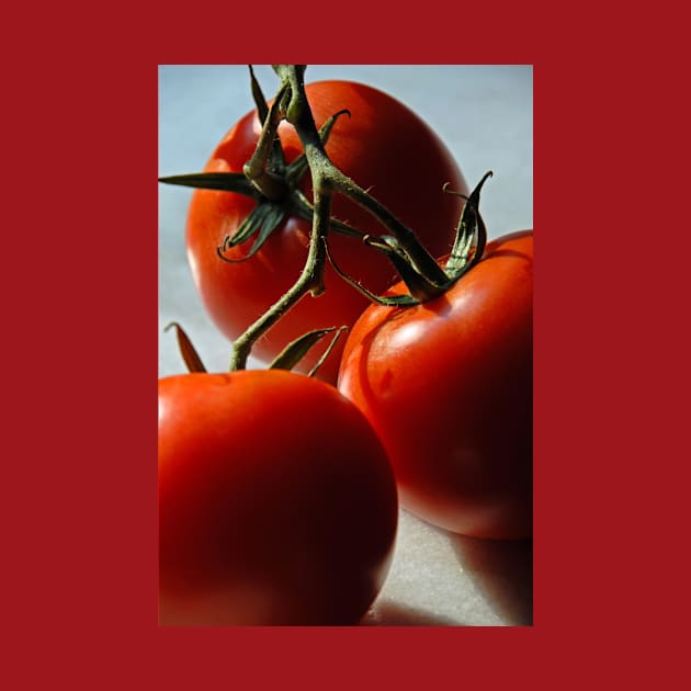 Tomatoes on Vine by amyvanmeter