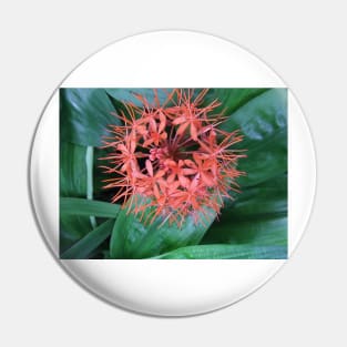 Spherical Tropical Flower Pin