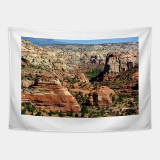 Grand Staircase National Park, Utah Tapestry