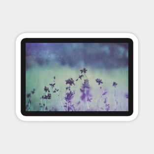 Bramble In Blue And Purple Nature Photograph Magnet