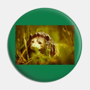 King of the Jungle - Nostalgic Playtime Pin