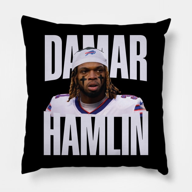 Hamlin Damar Pillow by Nagorniak