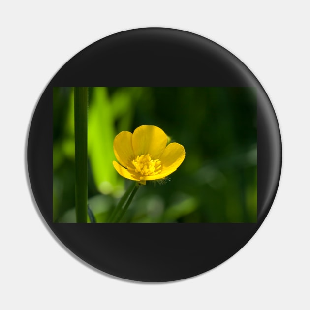 Buttercup Pin by EugeJ