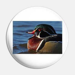 Quack! - Wood Duck Pin