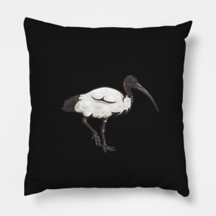 Australian White Ibis Pillow