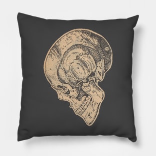 Academia Skull Foxed Pillow