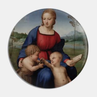 Madonna of the Goldfinch by Raphael Pin