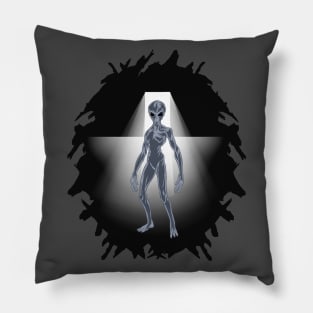 Midnight Alien Visitor Pillow